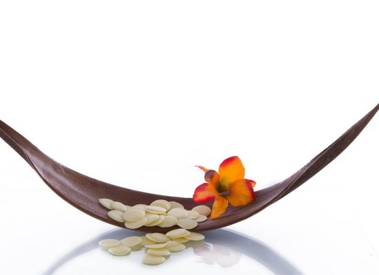 wellness-blossom-bloom wellness-blossom-bloom